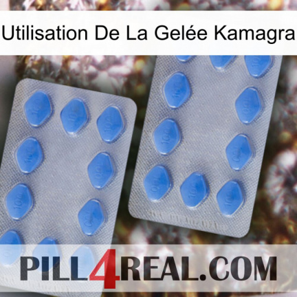 Utilisation De La Gelée Kamagra 20